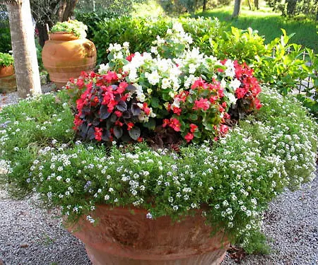Country house Le Logge Di Sopra *